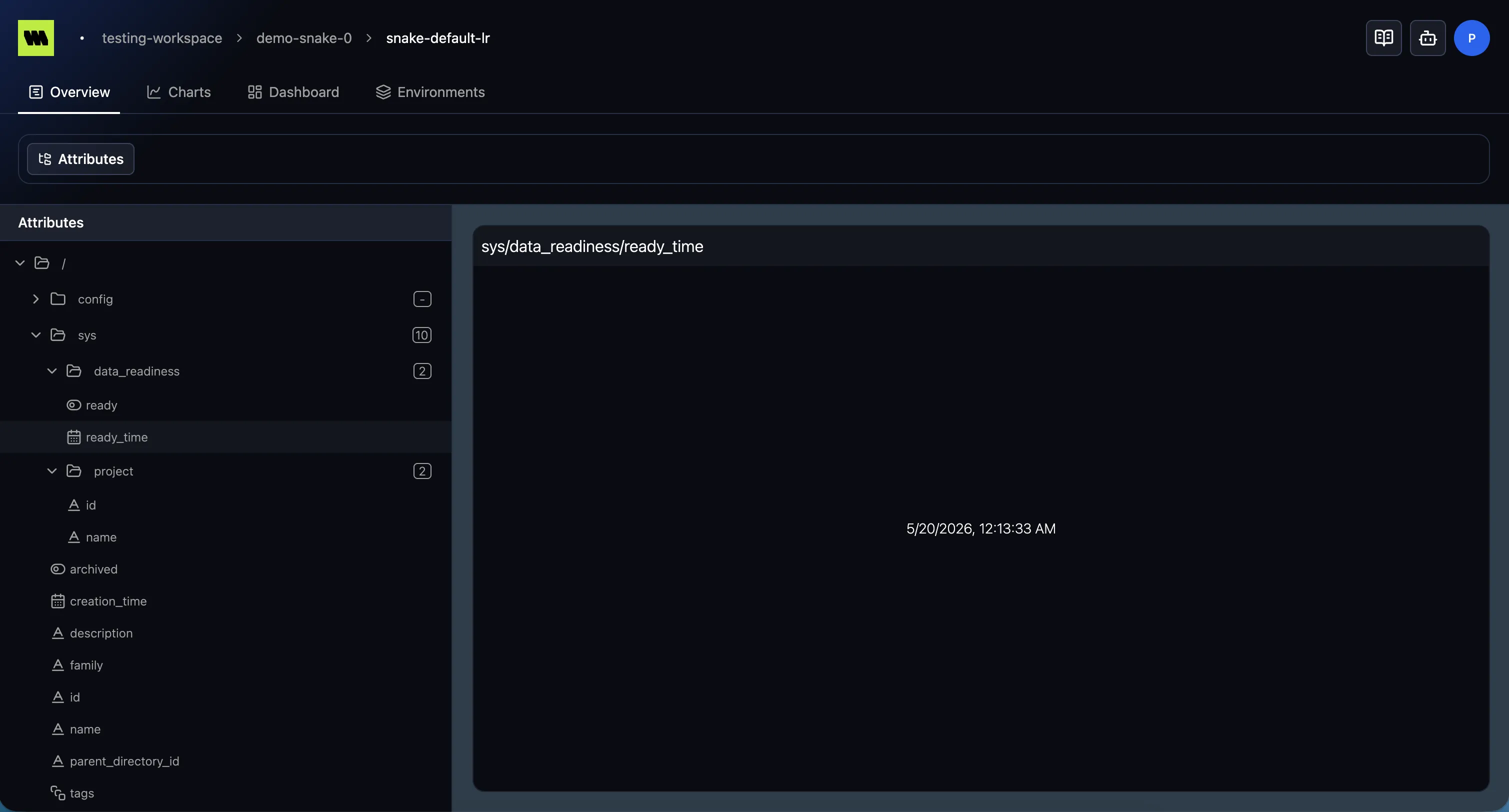 A run's Overview showing the attributes tree